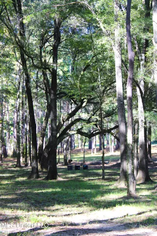 $320,000 | 7679 Highway 568, Magnolia, MS 39652