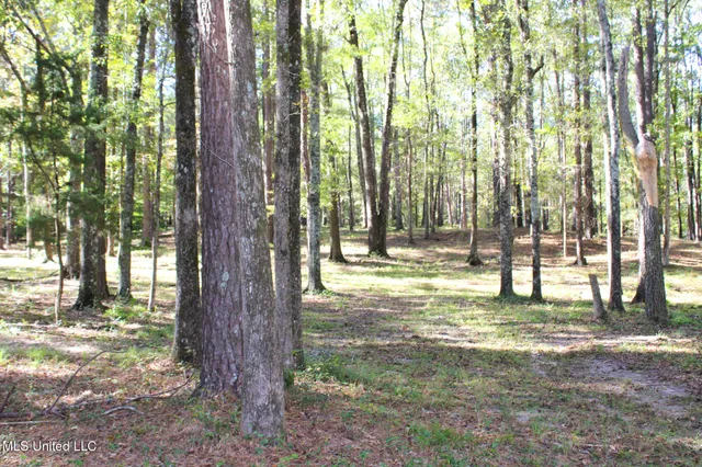 $320,000 | 7679 Highway 568, Magnolia, MS 39652