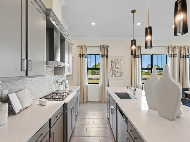 a front view of a house with a yard and potted plants