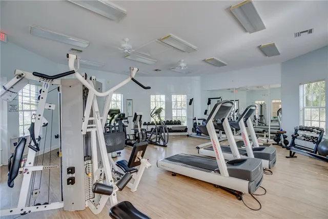 a view of a street with potted plants and large trees