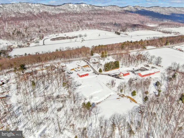 a backyard of a house with a tree