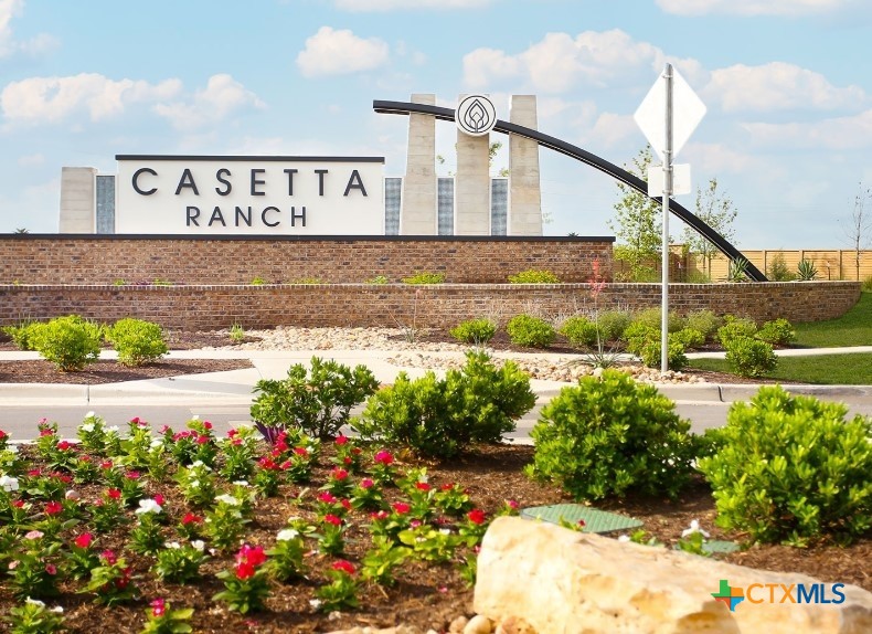 2431 Winding Creek Road Kyle, TX 78640 - Photo 18 of 29 a view of a bunch of flowers