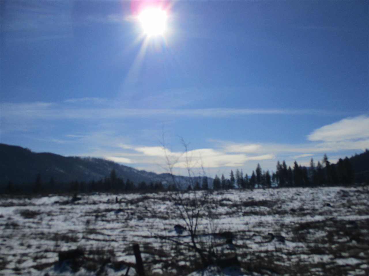 680 Gillette Road, Unit LOT 3 Colville, WA 99114 - Photo 2 of 6