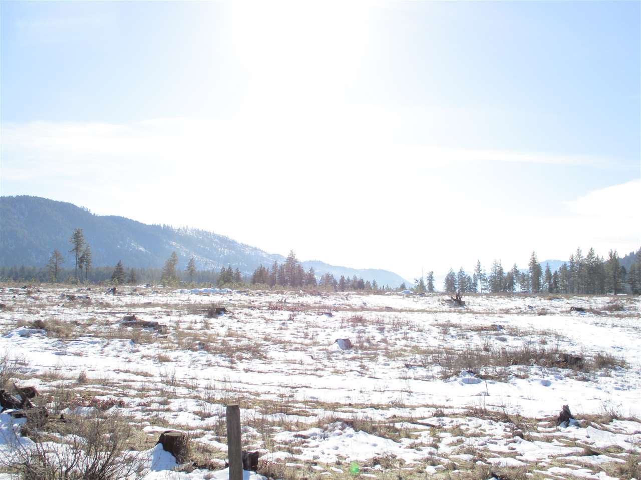 680 Gillette Road, Unit LOT 3 Colville, WA 99114 - Photo 4 of 6