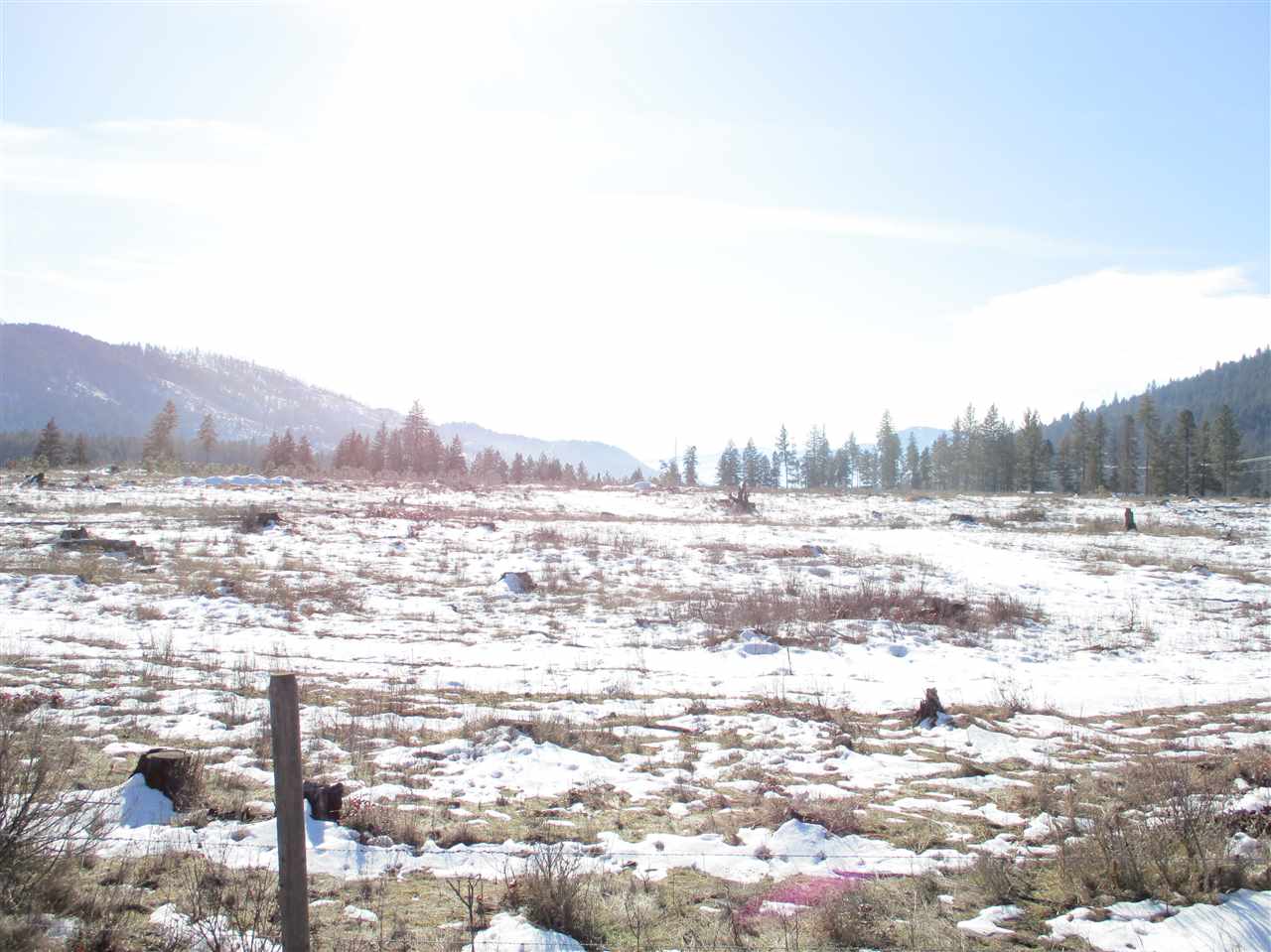 680 Gillette Road, Unit LOT 3 Colville, WA 99114 - Photo 5 of 6