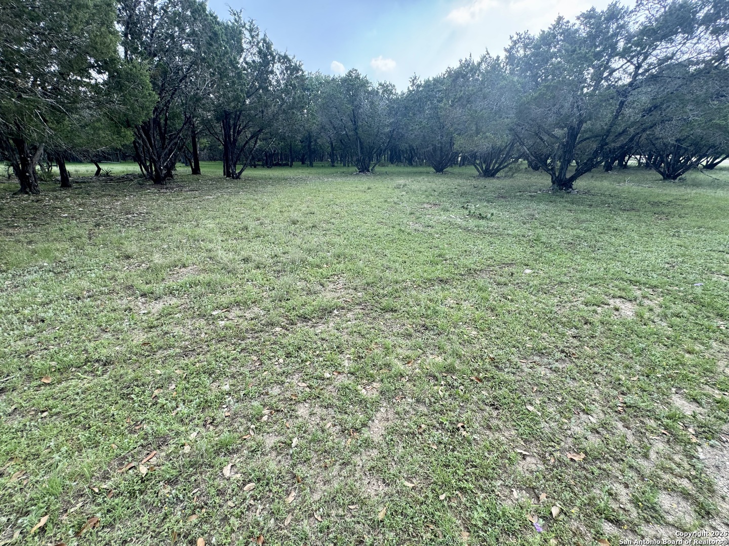 1160 Whispering Water Spring Branch, TX 78070 - Photo 1 of 19