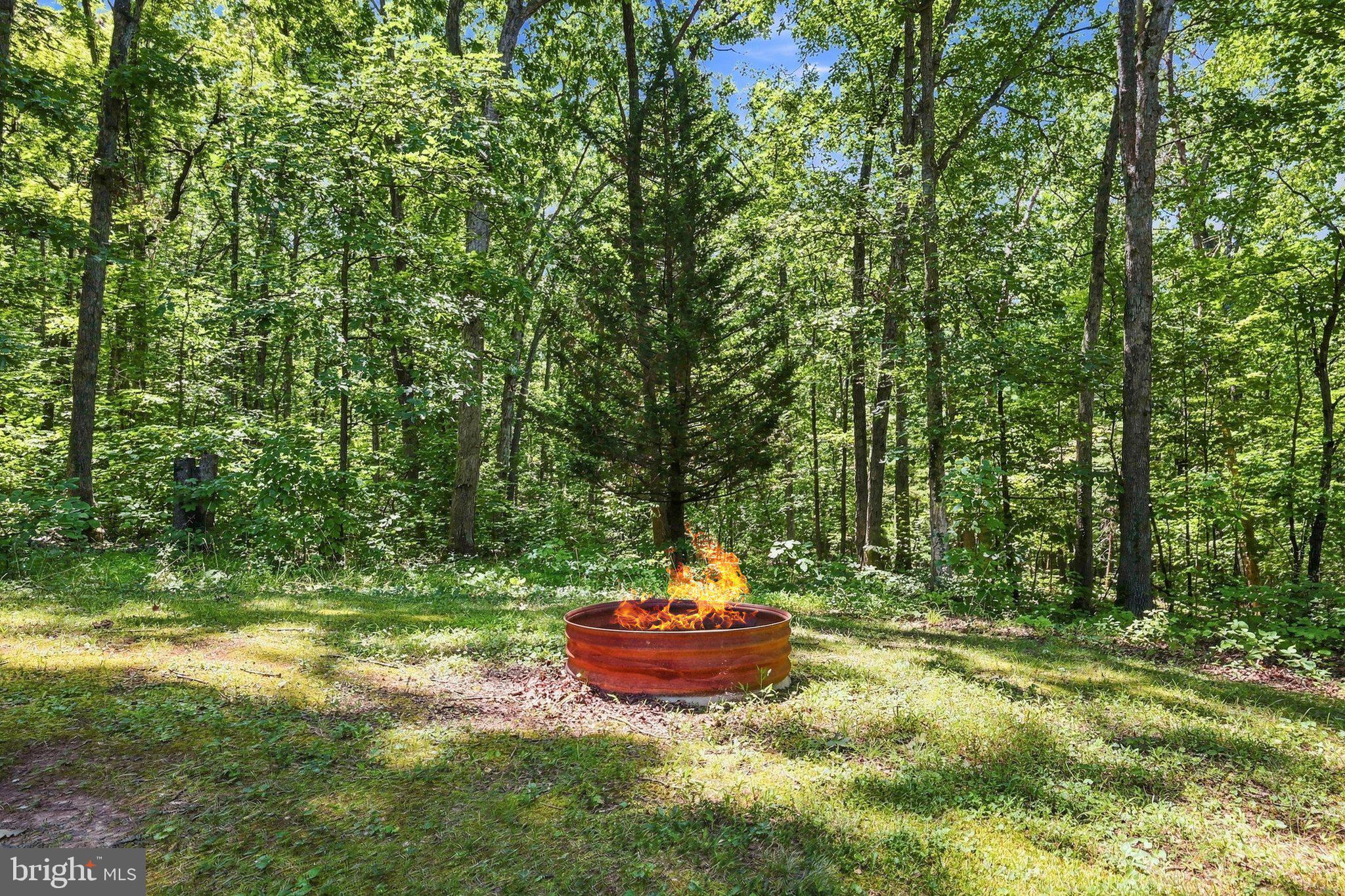 558 Catron Ridge Road Bentonville, VA 22610 - Photo 43 of 59 Backyard
