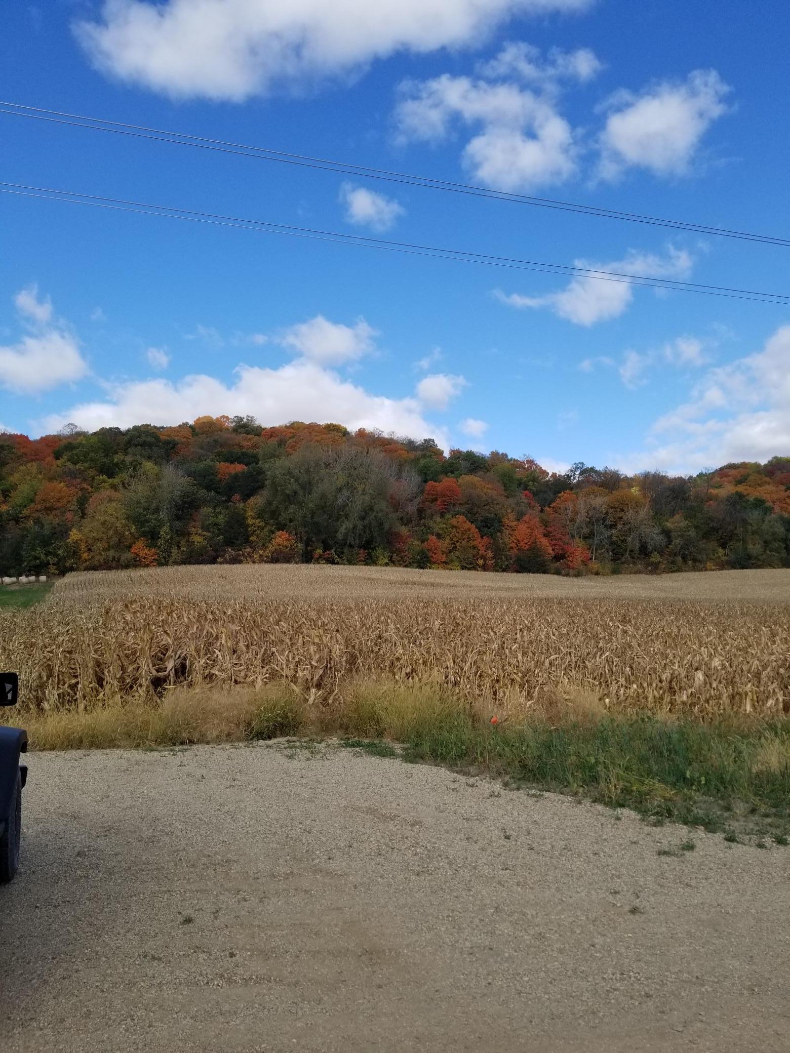 Tbd Scenic Byway Road Henderson, MN 56044 - Photo 11 of 12