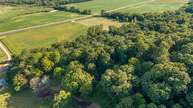 $289,900 | Tbd Scenic Byway Road, Henderson, MN 56044