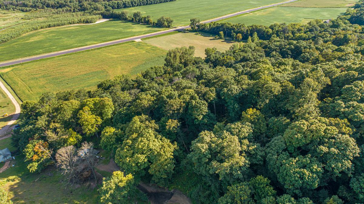 Tbd Scenic Byway Road Henderson, MN 56044 - Photo 5 of 12
