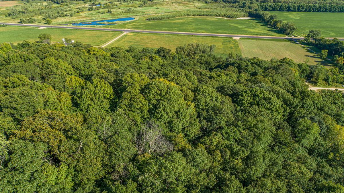 Tbd Scenic Byway Road Henderson, MN 56044 - Photo 6 of 12