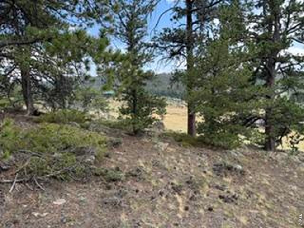 191 Cimarron Road Red Feather Lakes, CO 80545 - Photo 20 of 22 Gallery Image 20
