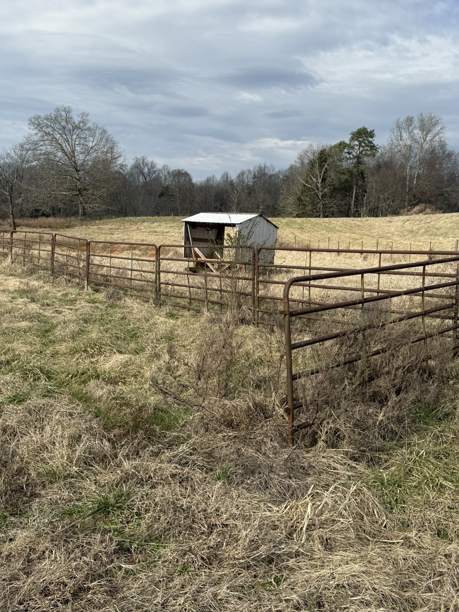 0 Caney Fork Road Quebeck, TN 38579 - Photo 61 of 100