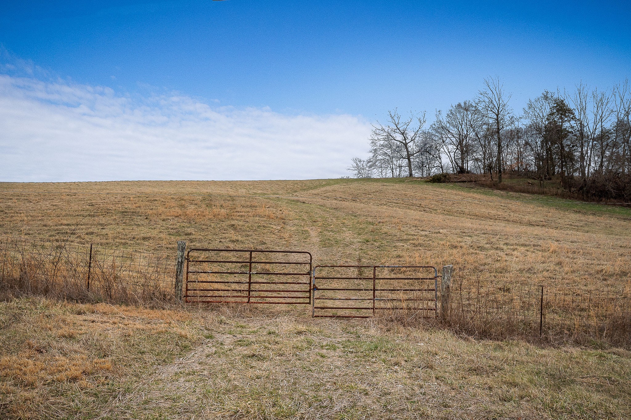0 Caney Fork Road Quebeck, TN 38579 - Photo 95 of 100