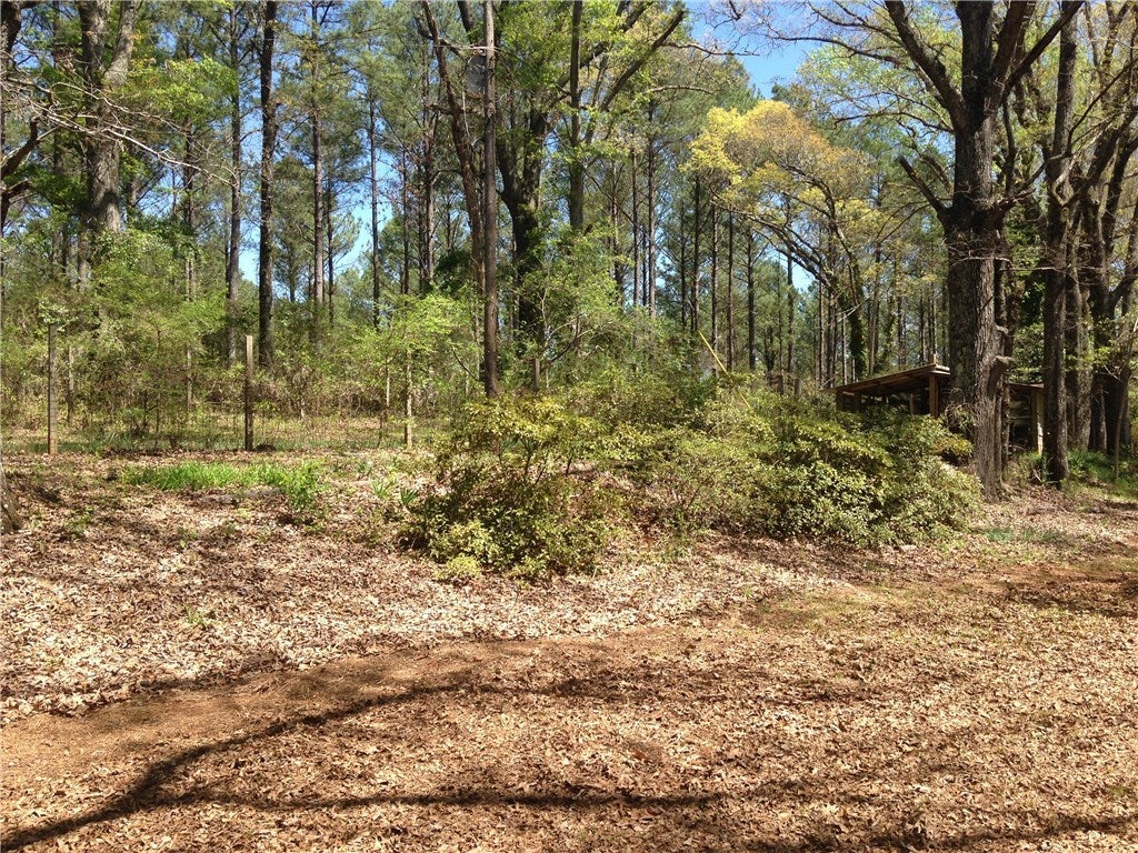 7630 Heath Road Waverly, AL 36879 - Photo 13 of 19 Gallery Image 13