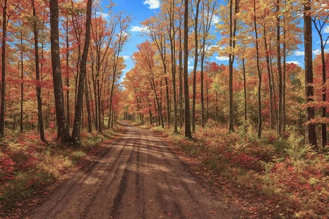 $63,000 | Tbd Lot #4 Tbd Trail, Iron River, WI 54847