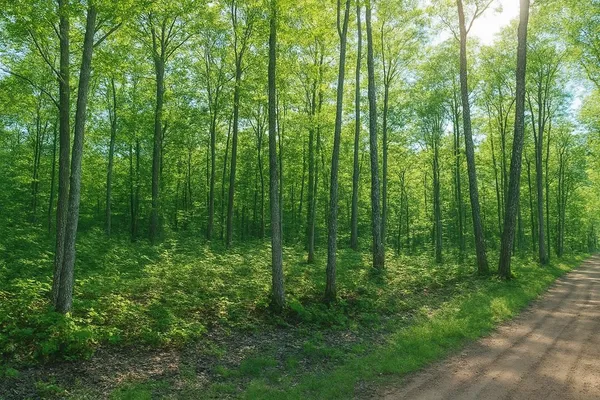 $63,000 | Tbd Lot #4 Tbd Trail, Iron River, WI 54847