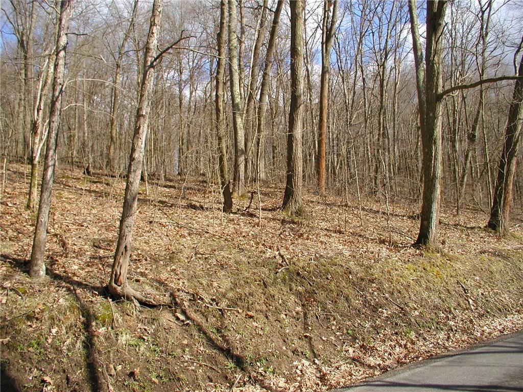 242 Minich Road Butler, PA 16001 - Photo 1 of 15 Gallery Image 1