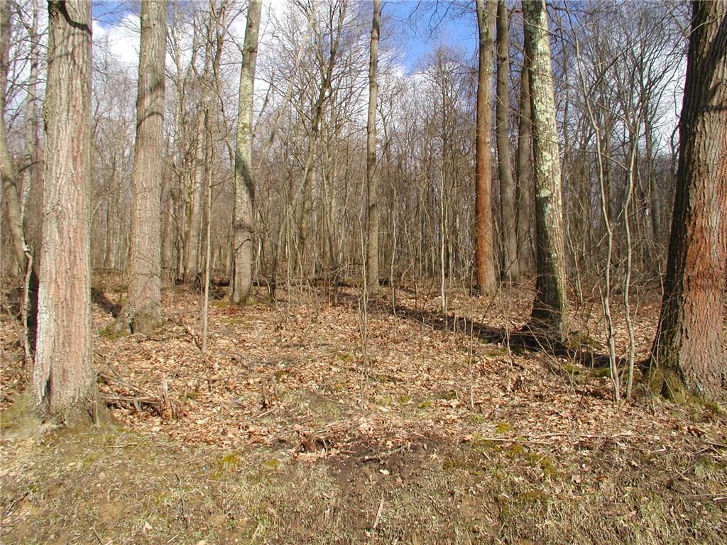 242 Minich Road Butler, PA 16001 - Photo 12 of 15 Gallery Image 12