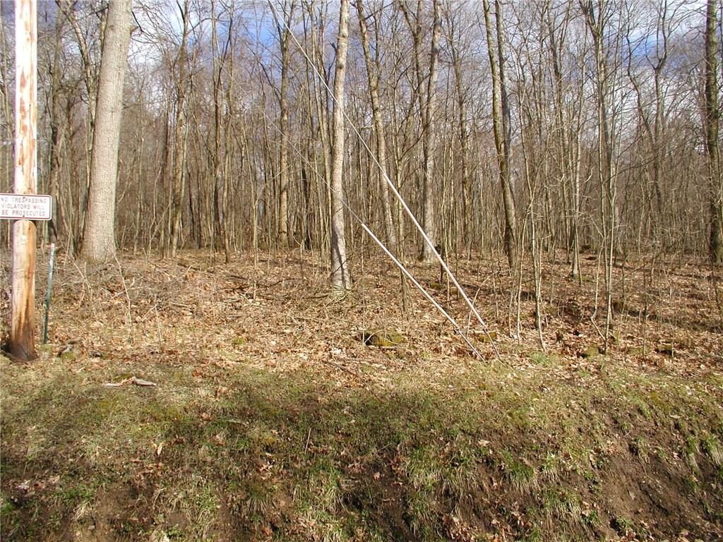 242 Minich Road Butler, PA 16001 - Photo 14 of 15 Gallery Image 14