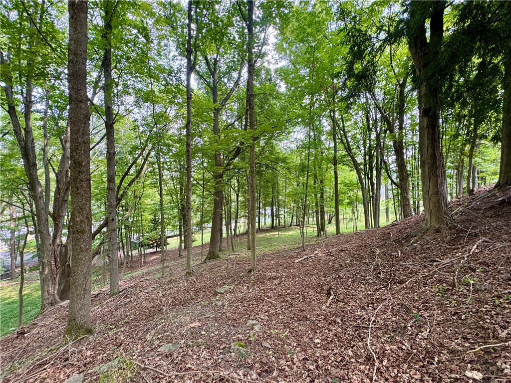 82 West Street Oneonta, NY 13820 - Photo 37 of 39