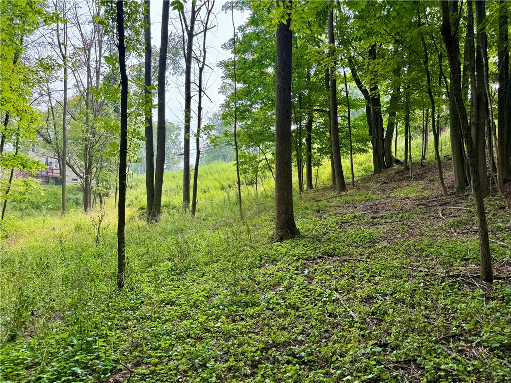 82 West Street Oneonta, NY 13820 - Photo 39 of 39