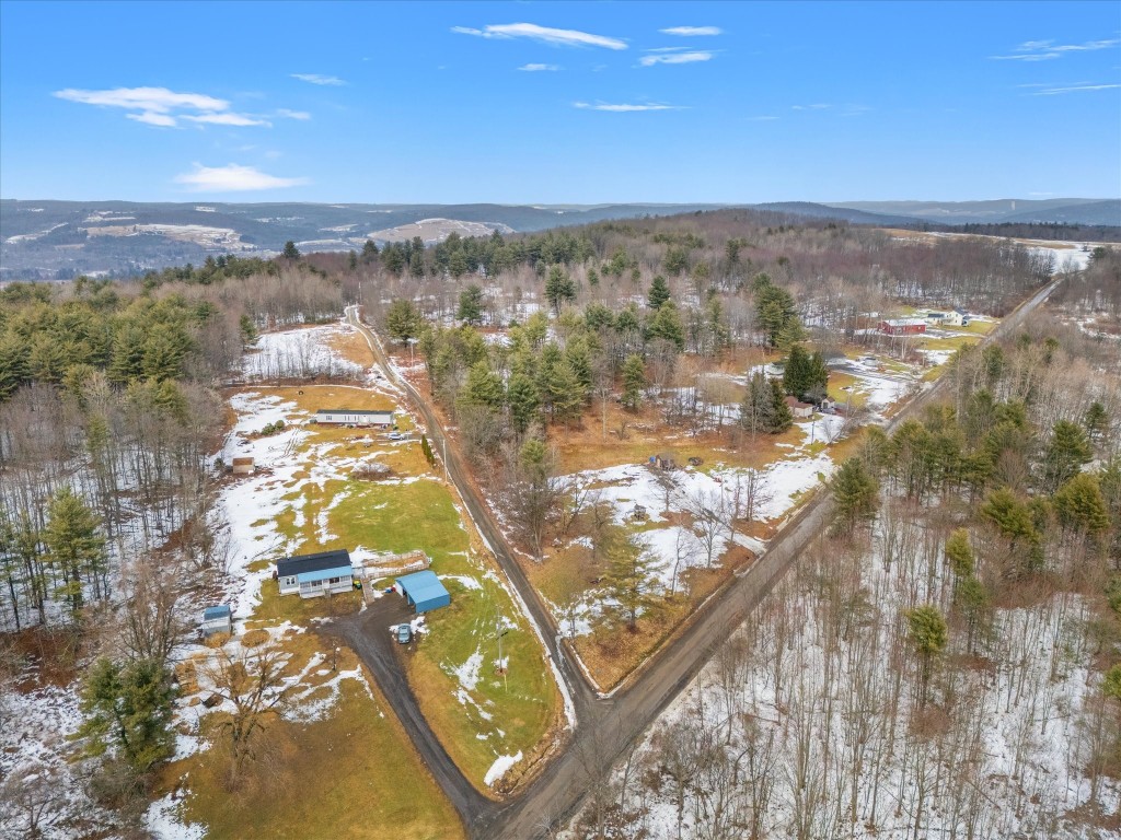 201 Perch Pond Road Nineveh, NY 13813 - Photo 2 of 10 Gallery Image 2