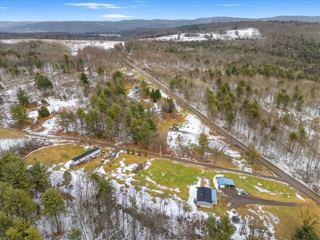 201 Perch Pond Road Nineveh, NY 13813 - Photo 3 of 10 Gallery Image 3