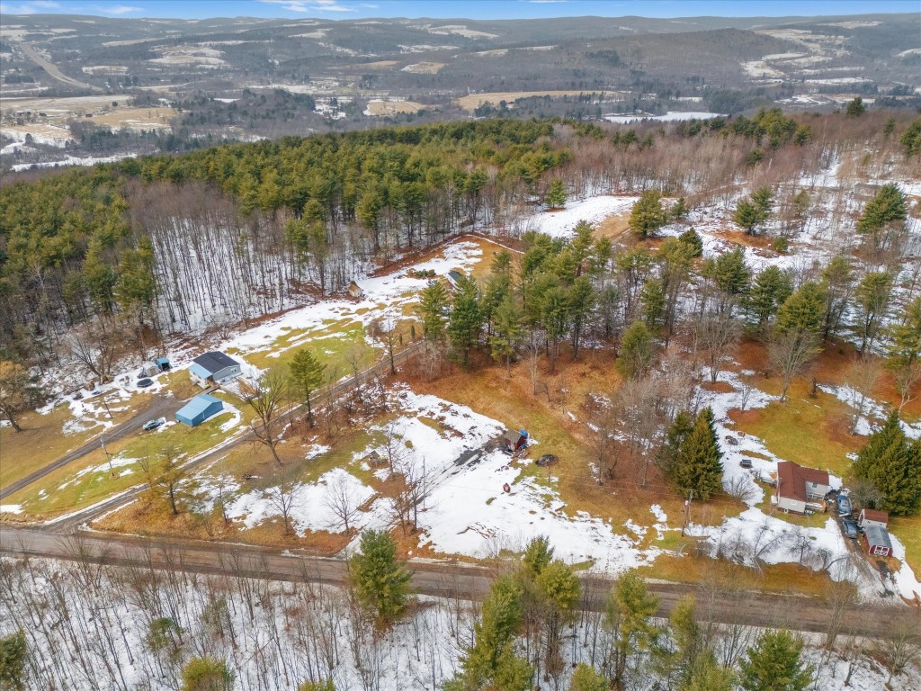201 Perch Pond Road Nineveh, NY 13813 - Photo 4 of 10 Gallery Image 4