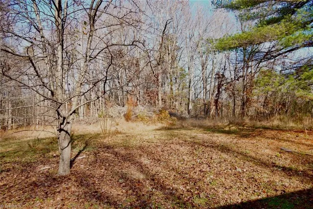 $65,000 | 267 Jennings Blackwell Road, Pelham, NC 27311