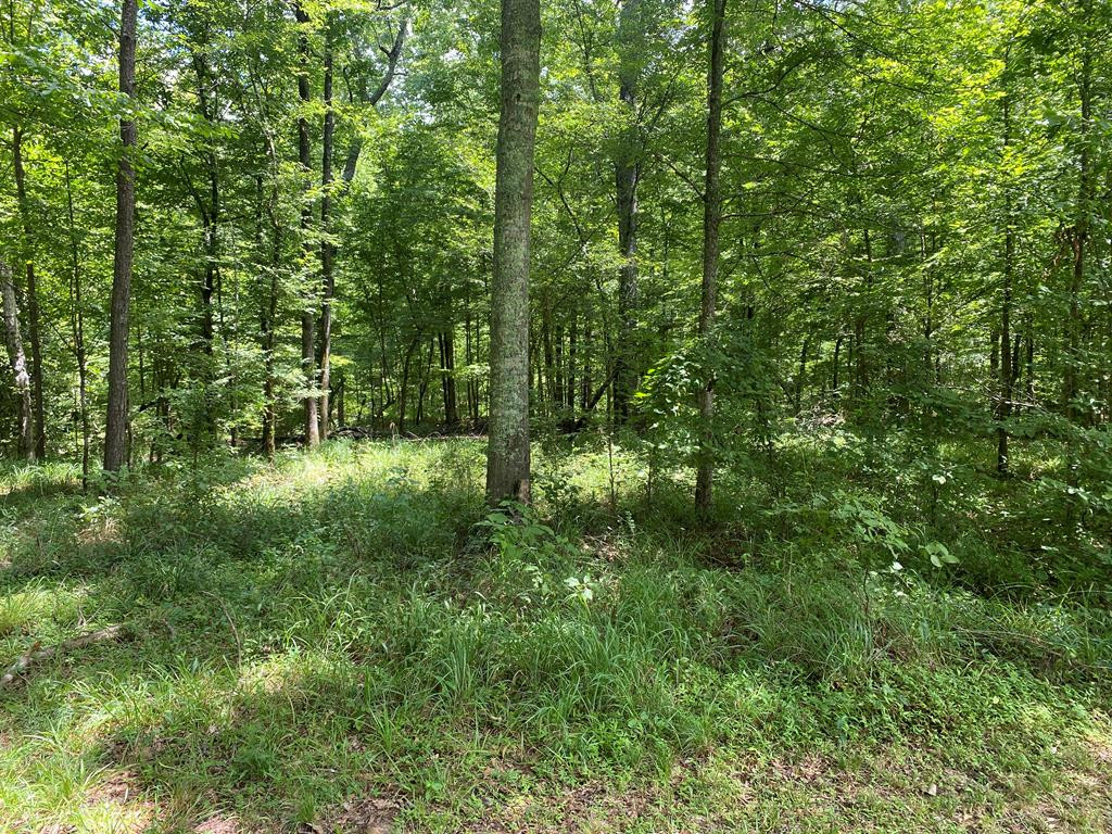 73 Low Water Bridge Road Natchez, MS 39120 - Photo 16 of 16 Photo 17