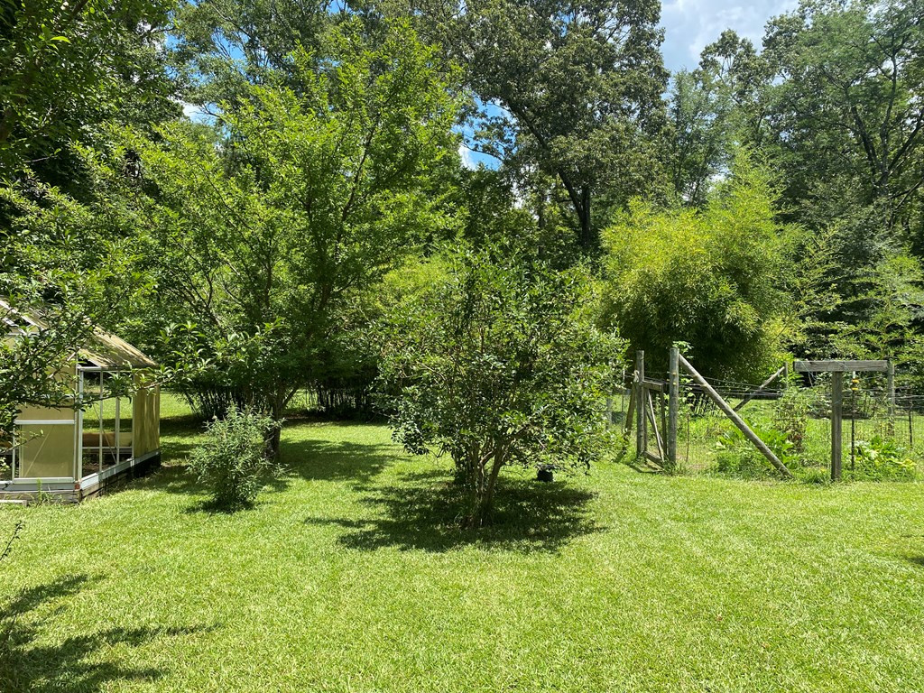 73 Low Water Bridge Road Natchez, MS 39120 - Photo 4 of 16 Photo 4