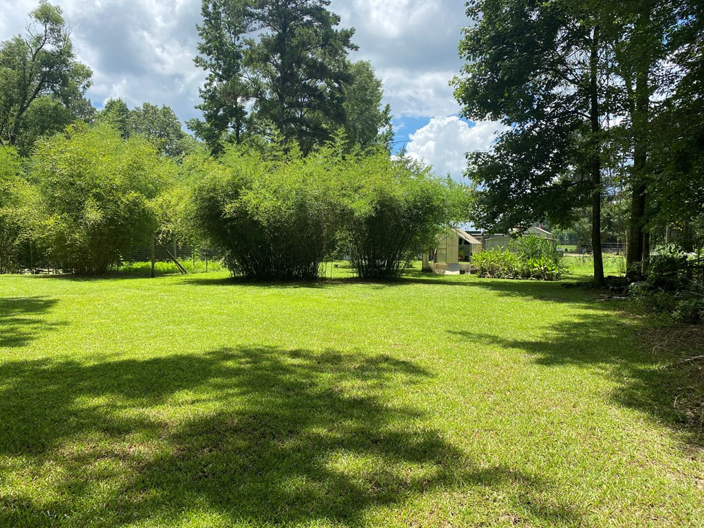 73 Low Water Bridge Road Natchez, MS 39120 - Photo 6 of 16 Photo 7