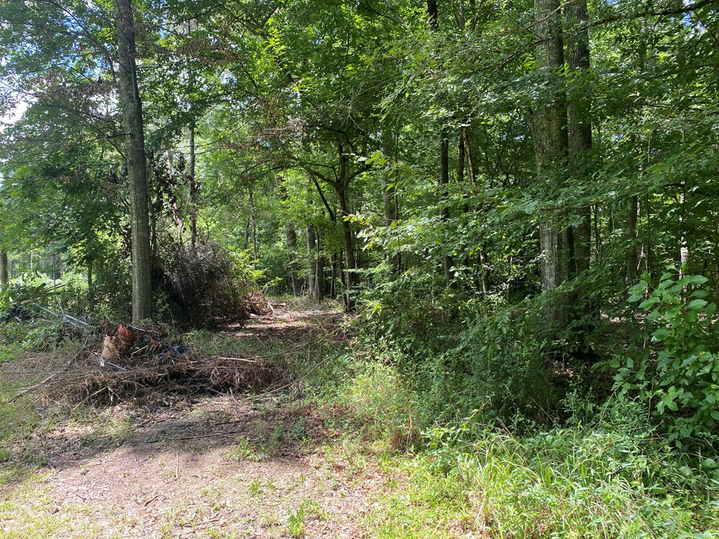 73 Low Water Bridge Road Natchez, MS 39120 - Photo 7 of 16 Photo 8