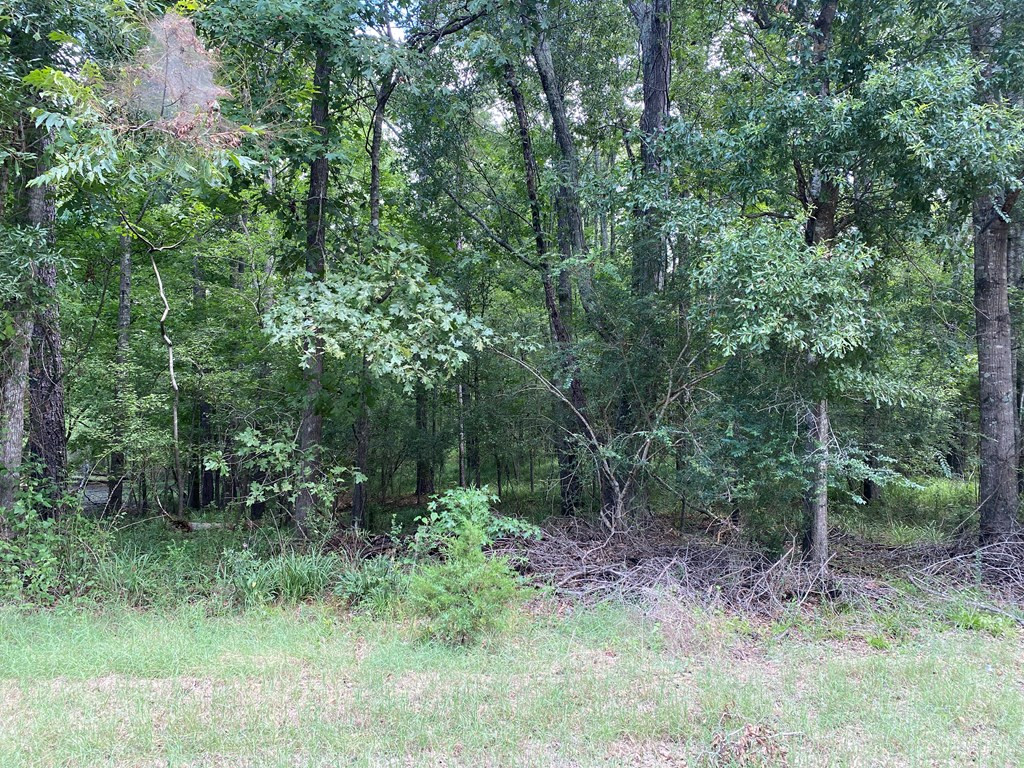 73 Low Water Bridge Road Natchez, MS 39120 - Photo 8 of 16 Photo 9