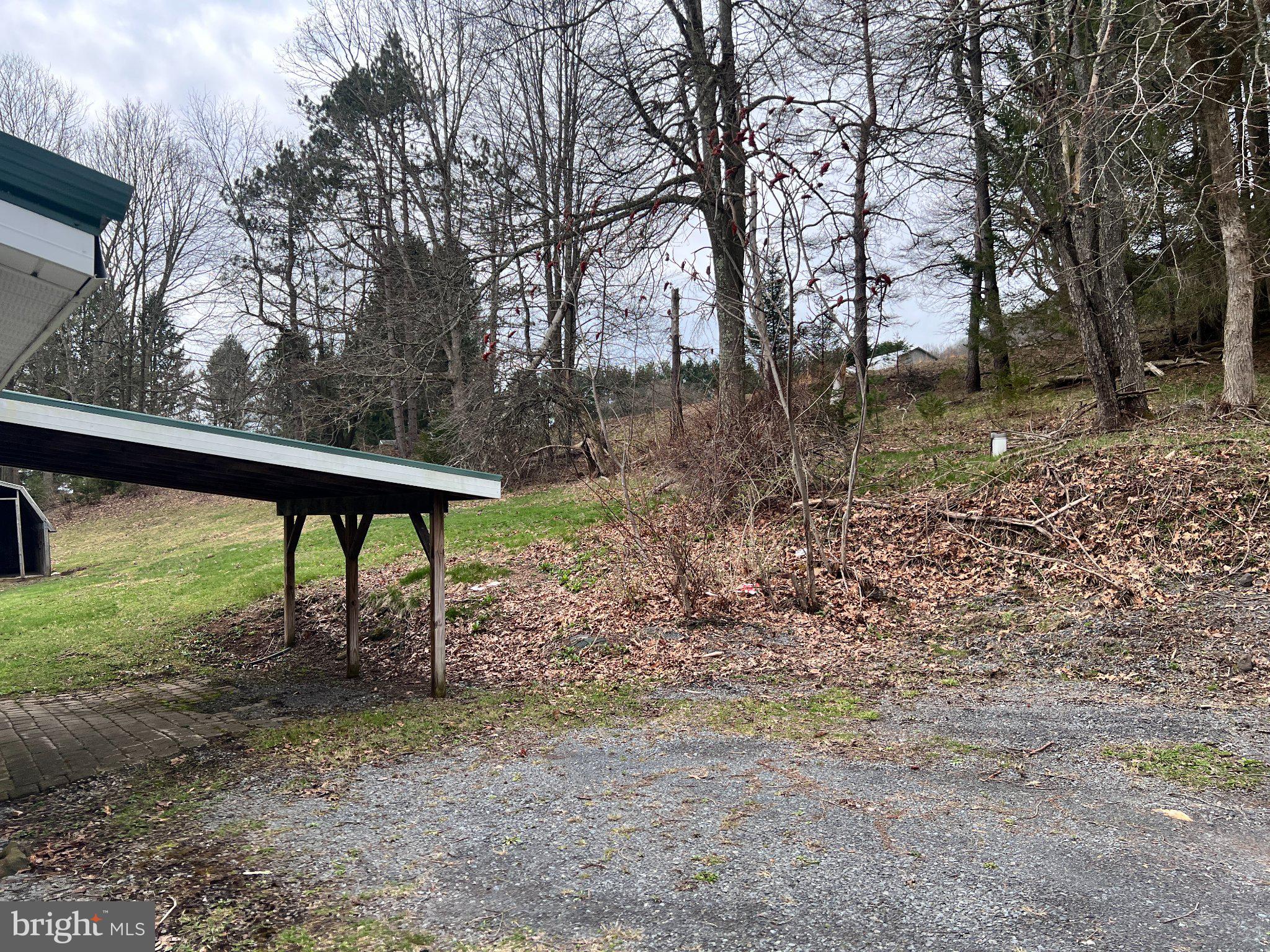 5151 Hutton Road Oakland, MD 21550 - Photo 23 of 32 Serene landscape with natural charm.