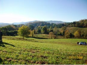 6 Jim Elliott Road Elizabethton, TN 37643 - Photo 1 of 1 Photo 1