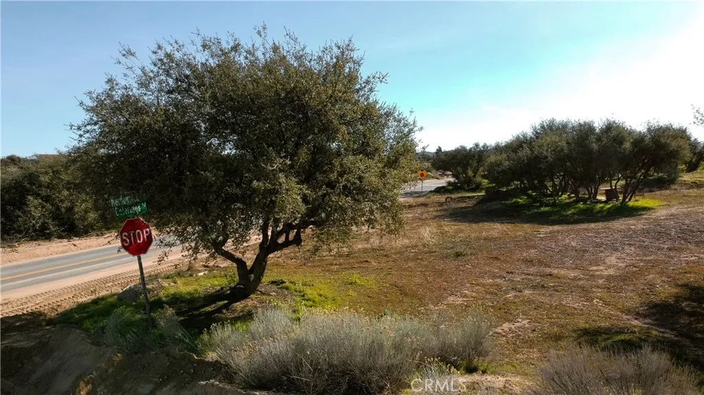 0 Coleridge Road Oak Hills, CA 92344 - Photo 22 of 22 a view of a yard with a tree