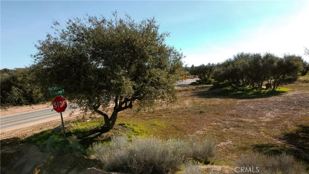 0 Coleridge Road Oak Hills, CA 92344 - Photo 22 of 22 a view of a yard with a tree