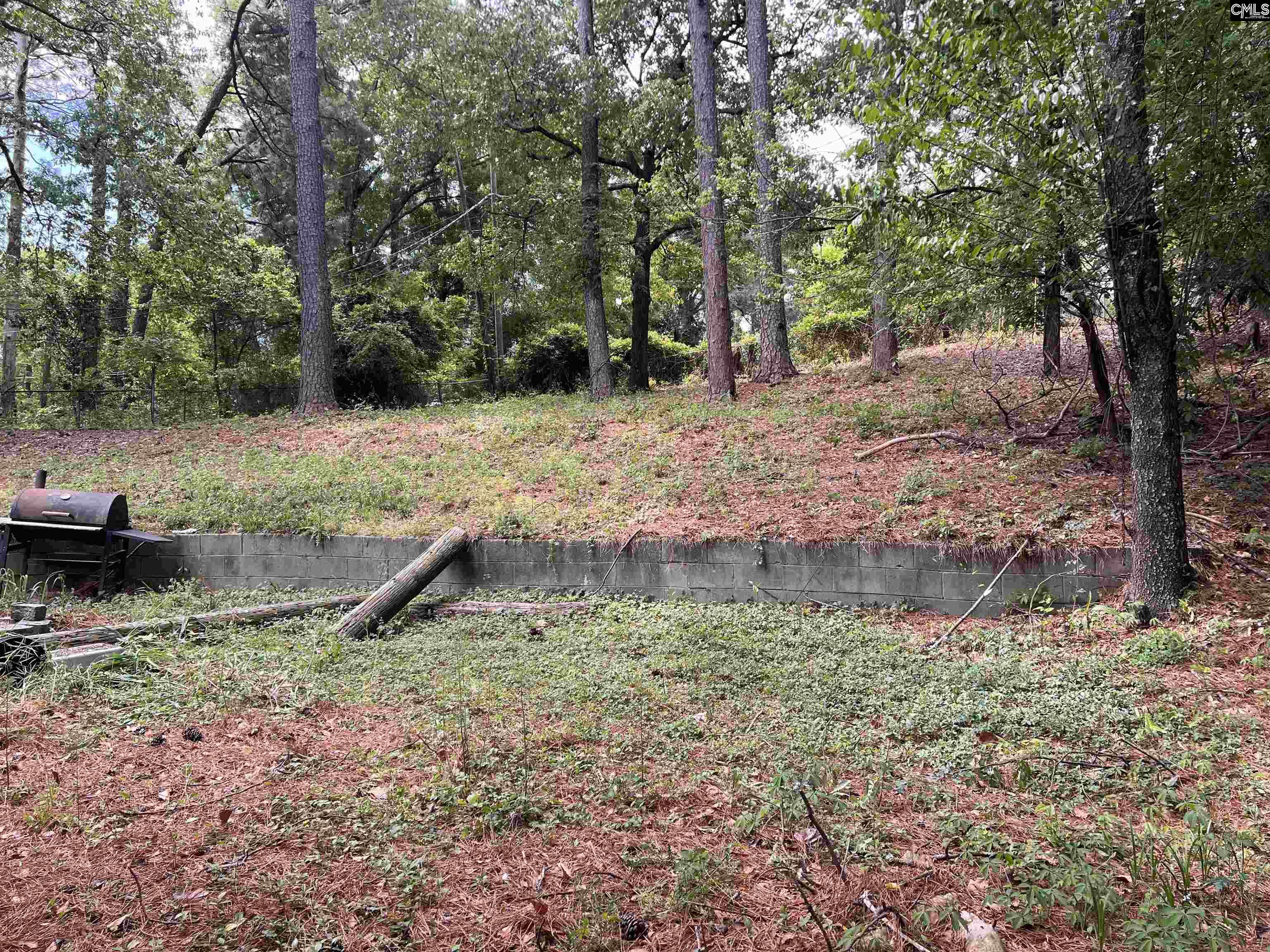 2529 Windsor Road Cayce, SC 29033 - Photo 6 of 19