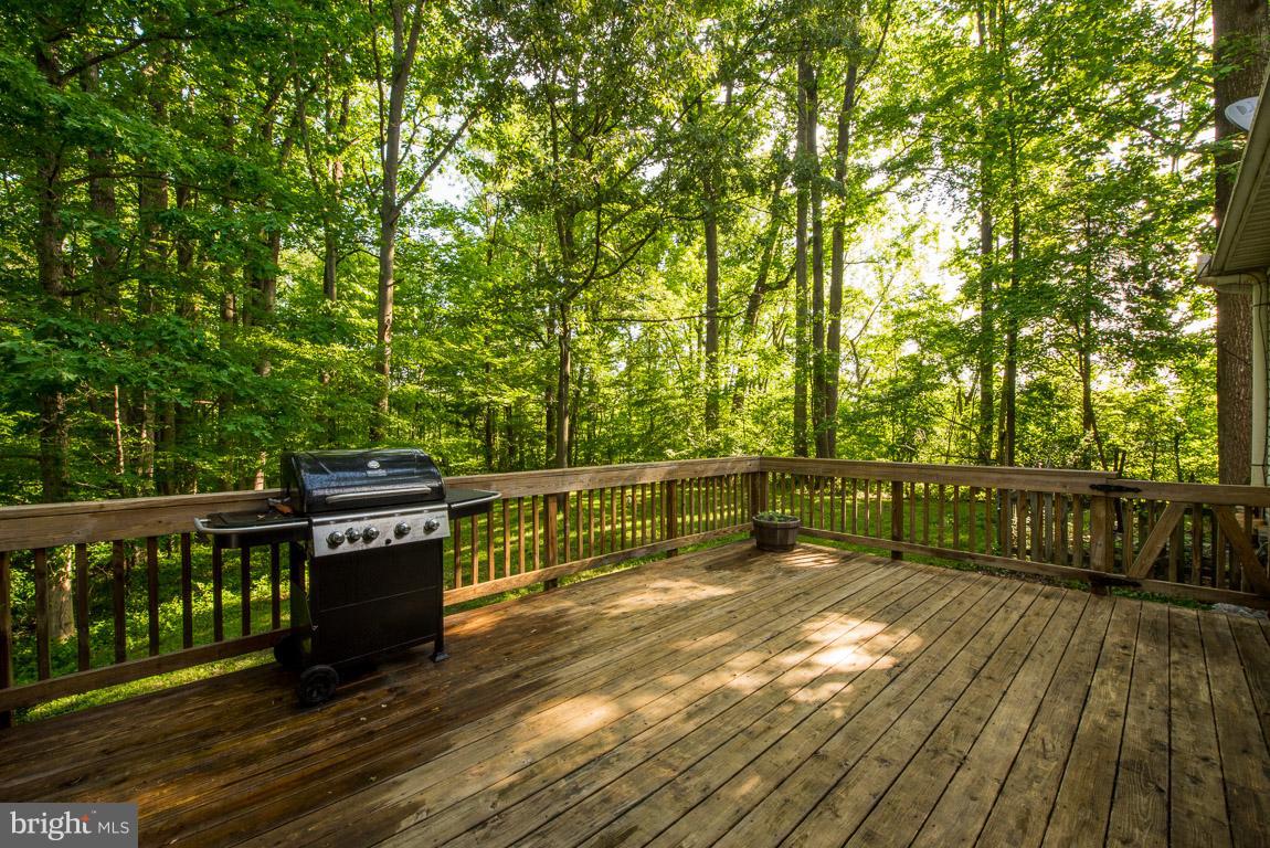 15500 Candy Hill Road Upper Marlboro, MD 20772 - Photo 14 of 30 Exterior (Rear)