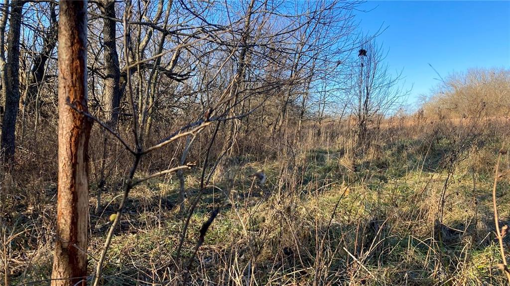 South School Road Raymore, MO 64083 - Photo 16 of 21