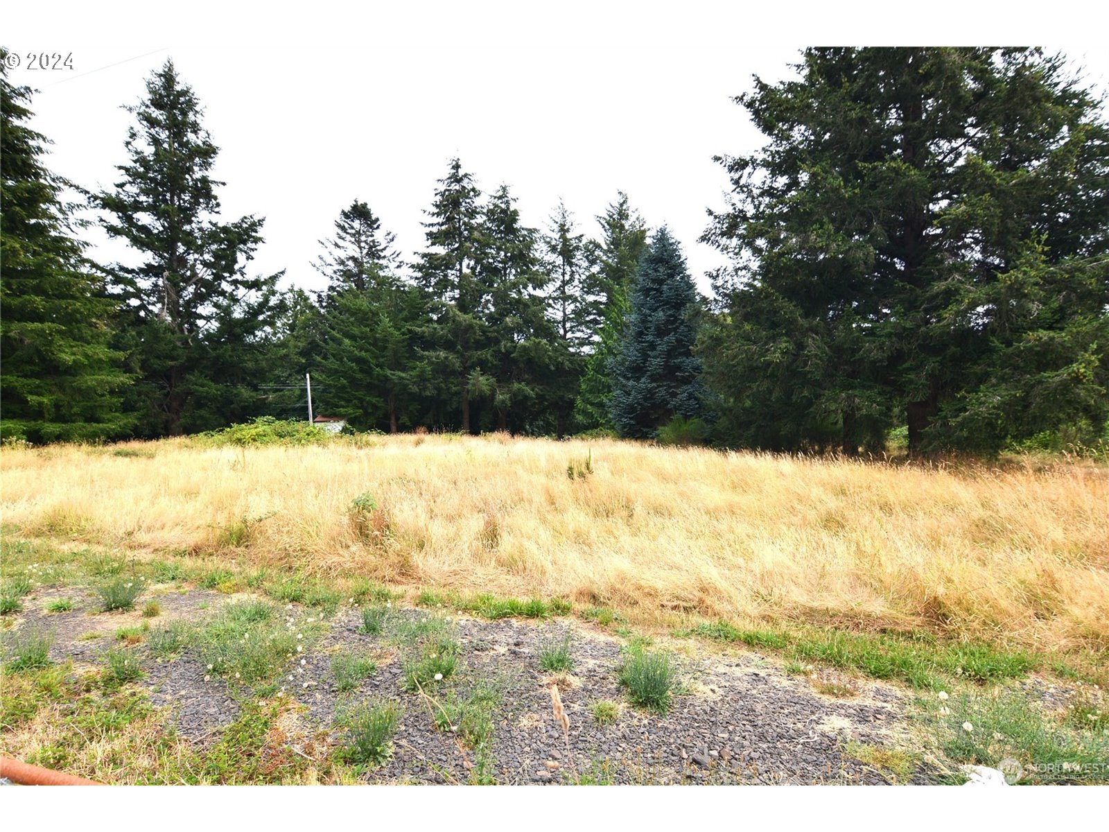 196 Jacobson Road Cathlamet, WA 98612 - Photo 27 of 29 Gallery Image 27