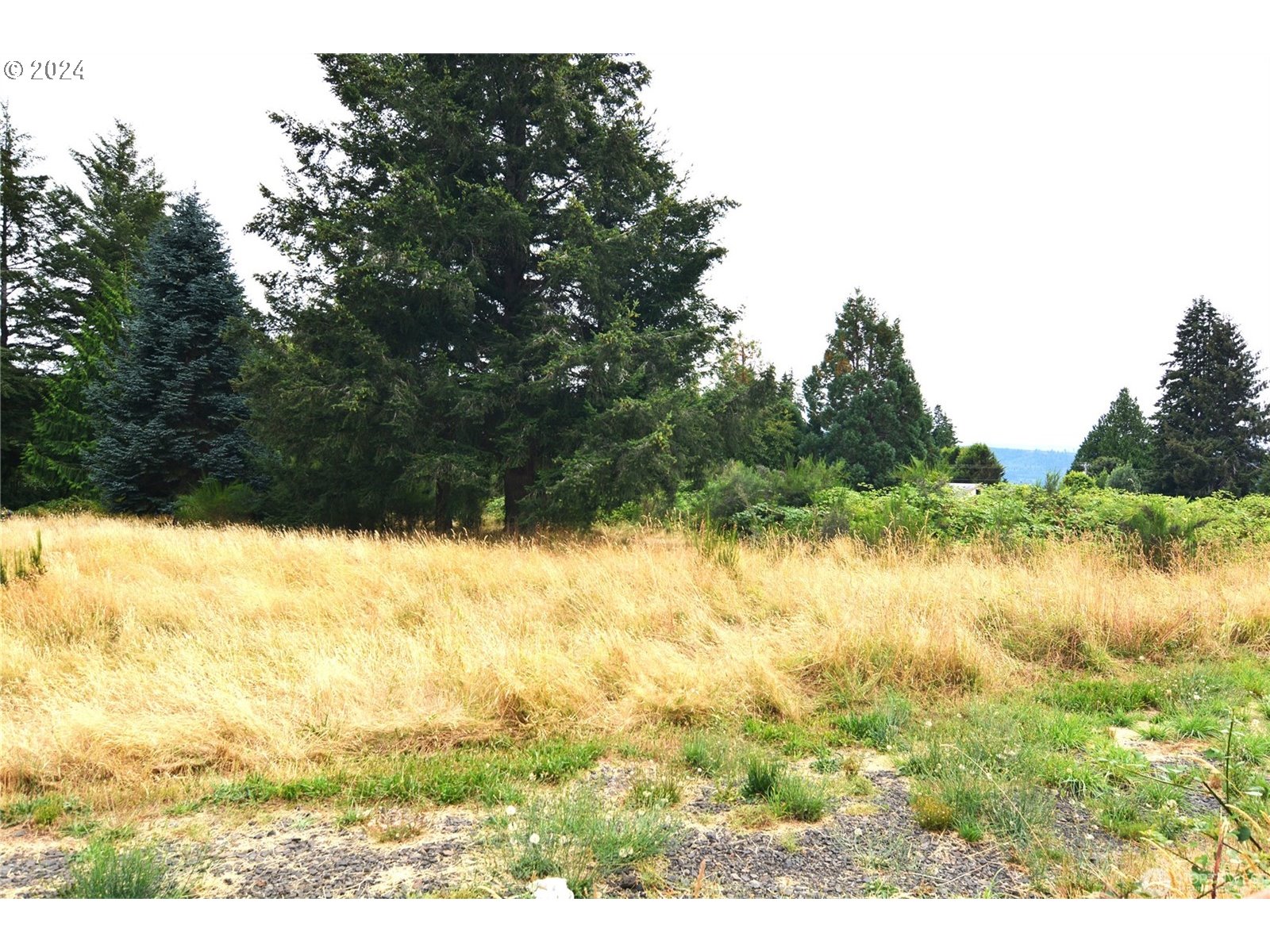 196 Jacobson Road Cathlamet, WA 98612 - Photo 28 of 29 Gallery Image 28