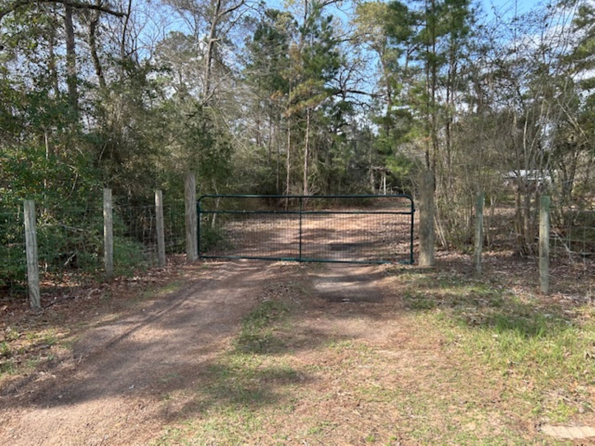 30996 Strathmore Road Waller, TX 77484 - Photo 15 of 20 a view of a yard with trees