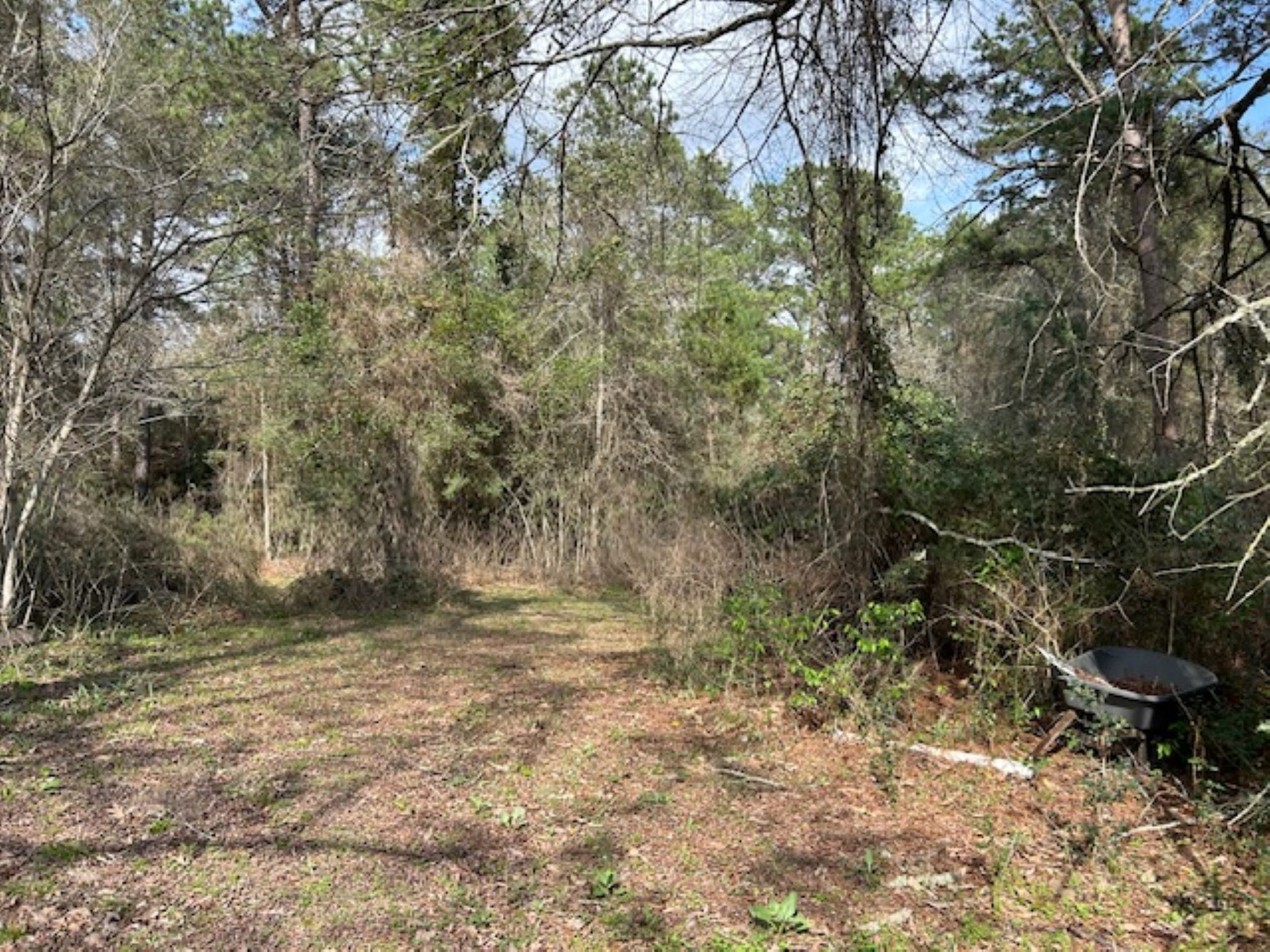 30996 Strathmore Road Waller, TX 77484 - Photo 17 of 20 a view of outdoor space and trees