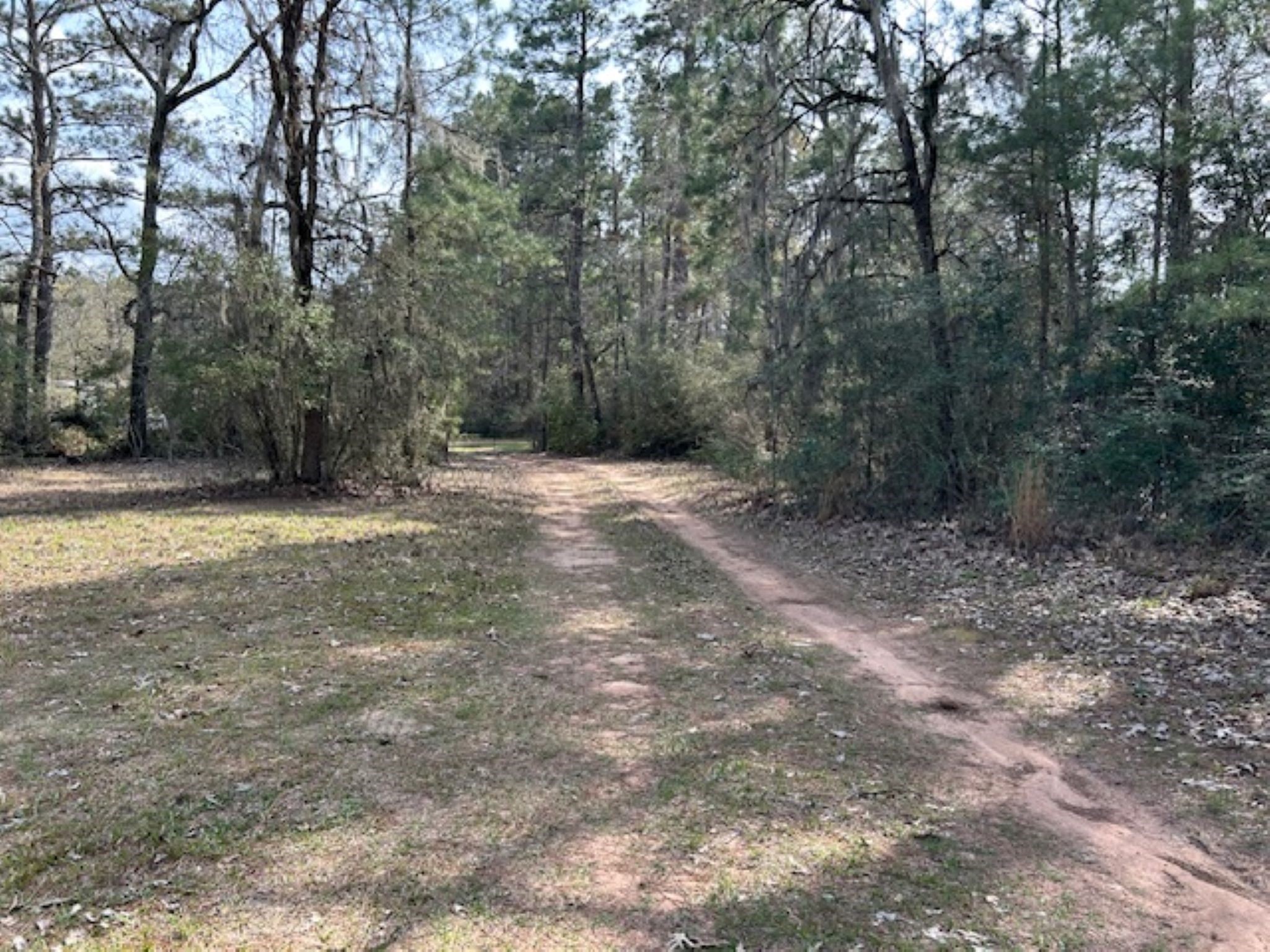 30996 Strathmore Road Waller, TX 77484 - Photo 18 of 20 a view of a yard with trees