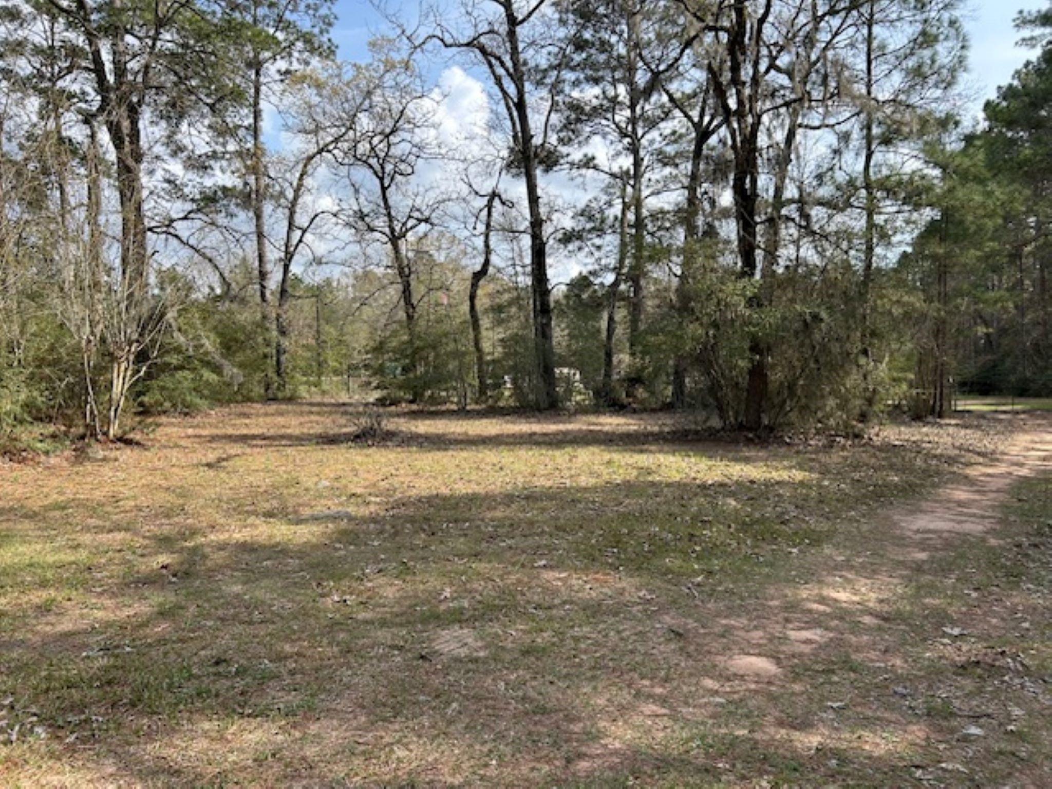 30996 Strathmore Road Waller, TX 77484 - Photo 19 of 20 a view of outdoor space with deck and trees