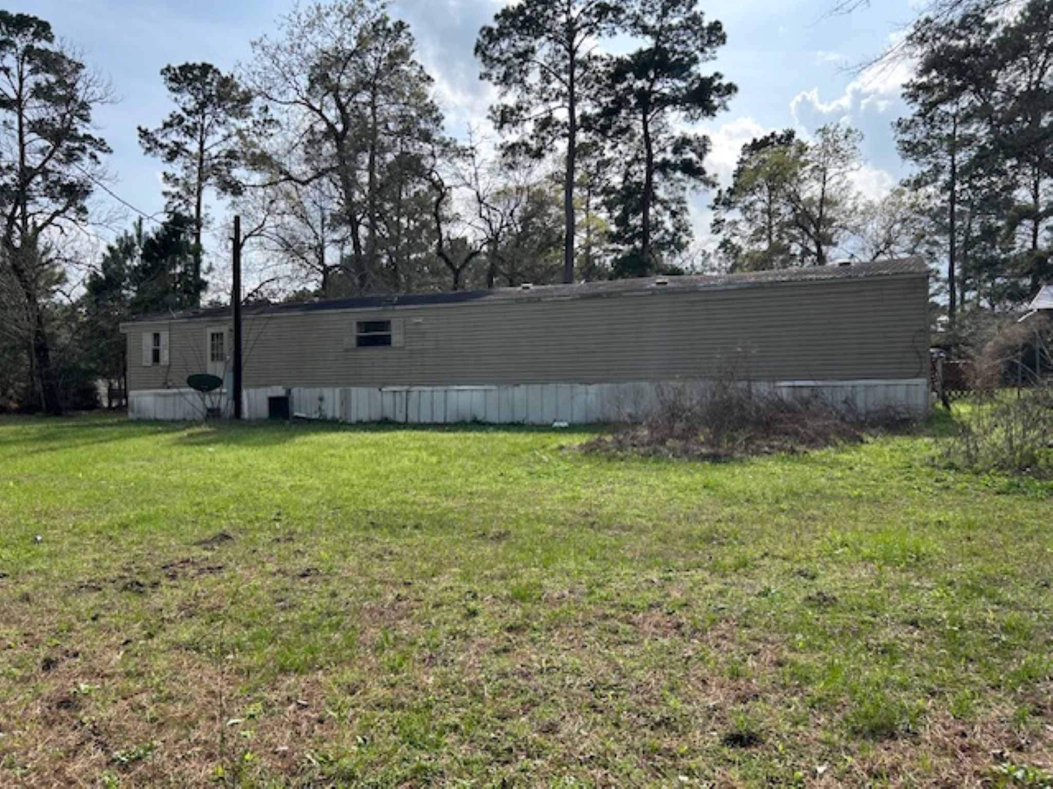 30996 Strathmore Road Waller, TX 77484 - Photo 6 of 20 a view of backyard with large trees