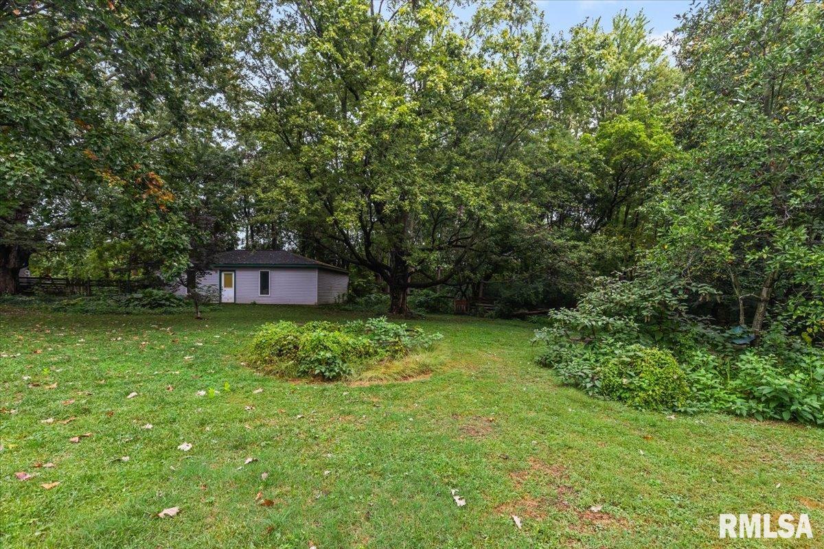 3281 Pet Cemetery Road Springfield, IL 62707 - Photo 46 of 50